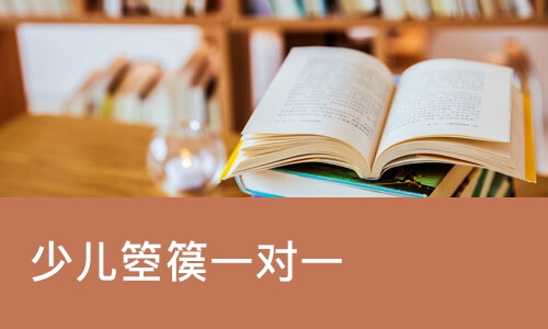 哈尔滨少儿箜篌一对一