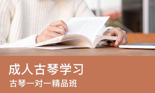 深圳成人古琴学习
