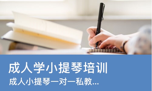 郑州成人学小提琴培训班