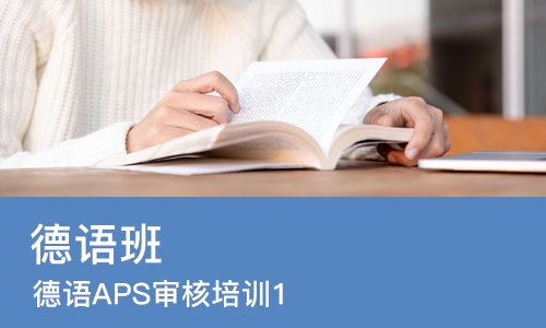 石家庄德语APS审核培训班1