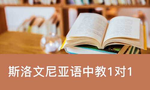佛山斯洛文尼亚语中教1对1