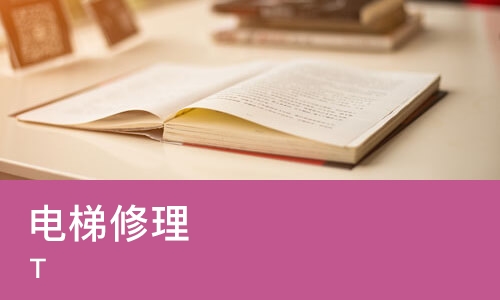 天津电梯修理 T