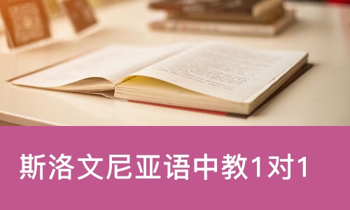 斯洛文尼亚语中教1对1