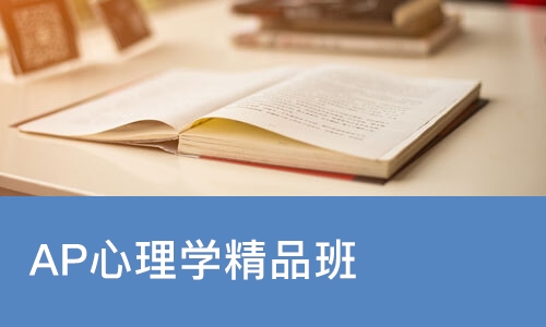 北京AP心理学精品班