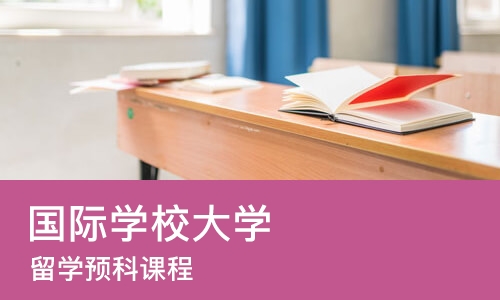 北京国际学校大学