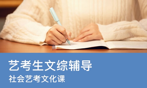 广州艺考生文综辅导