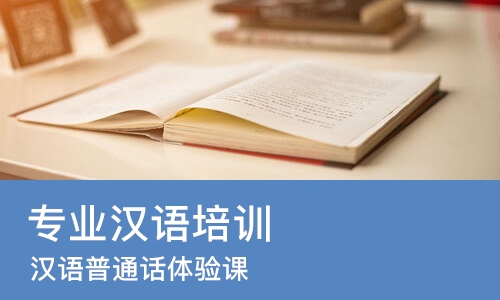 重庆专业汉语培训