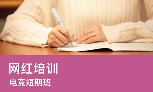 成都网红培训机构