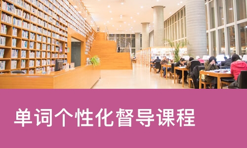 单词个性化督导课程