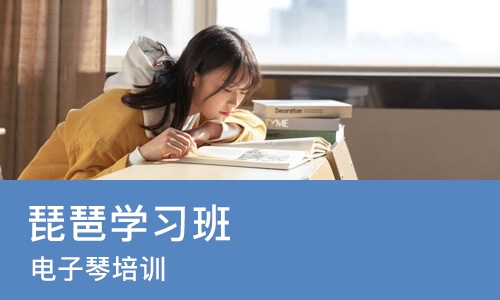 郑州琵琶学习班