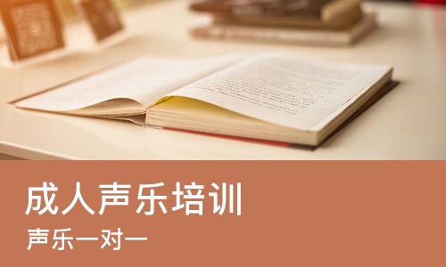 长沙成人声乐培训