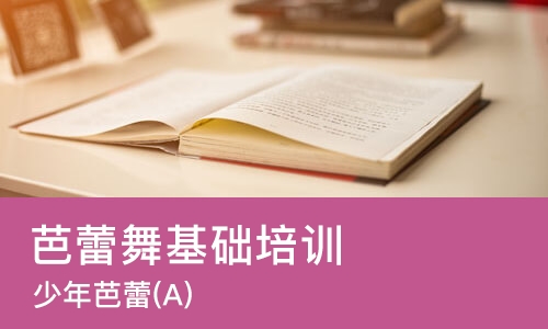 济南芭蕾舞基础培训班