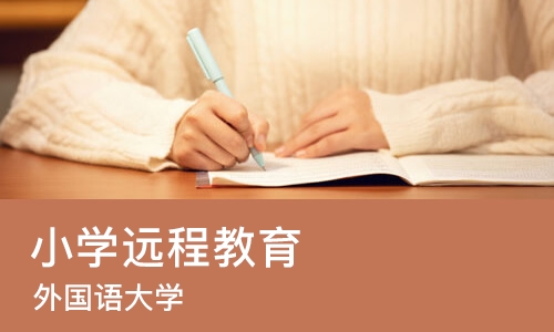 北京小学远程教育