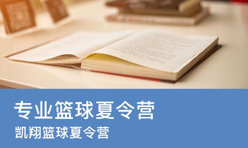 北京专业篮球夏令营