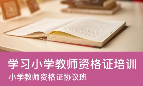 郑州学习小学教师资格证培训班