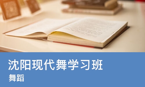 沈阳现代舞学习班