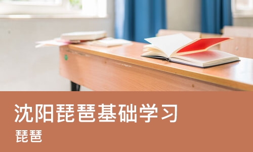 沈阳琵琶基础学习