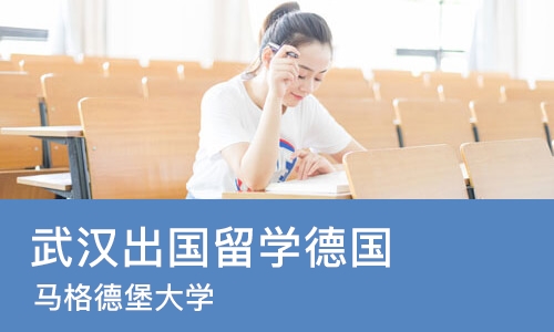 武汉出国留学德国