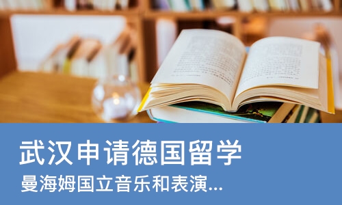 武汉申请德国留学