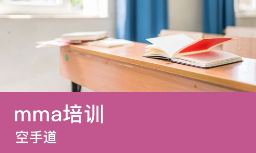 石家庄mma培训机构