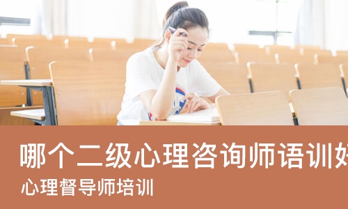 武汉哪个二级心理咨询师语训好