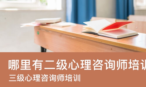 武汉哪里有二级心理咨询师培训