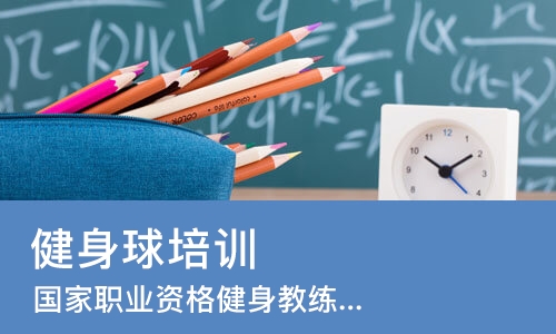 武汉健身球培训班