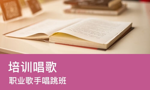 苏州培训唱歌