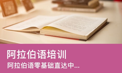 大连阿拉伯语培训