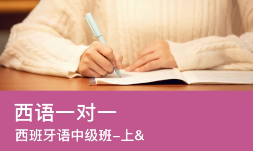 大连西语一对一