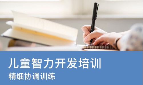 成都儿童智力开发培训机构