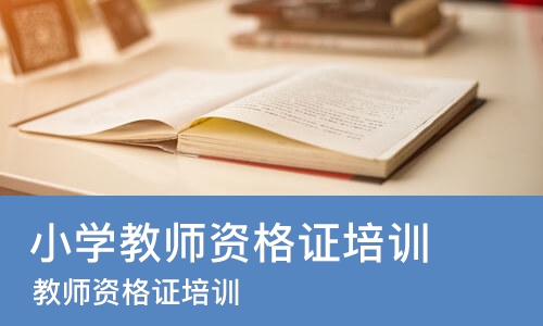 武汉小学教师资格证培训班