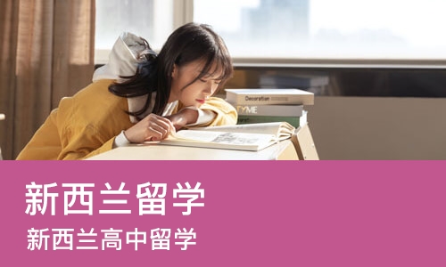 武汉新西兰留学