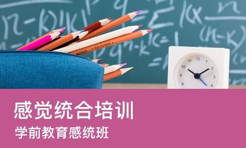 郑州感觉统合培训班