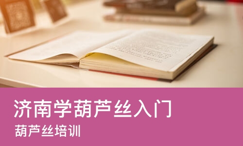 济南学葫芦丝入门