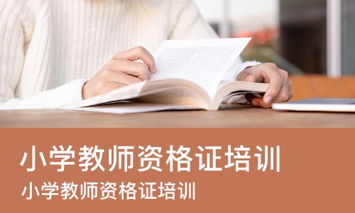 大连小学教师资格证培训机构