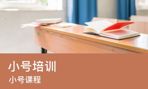 上海小号培训学校