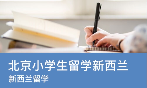 北京小学生留学新西兰