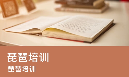 成都琵琶培训班