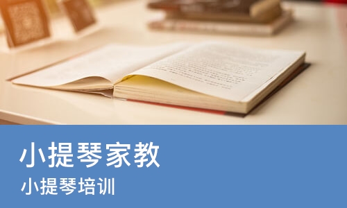 成都小提琴家教