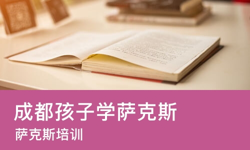 成都孩子学萨克斯