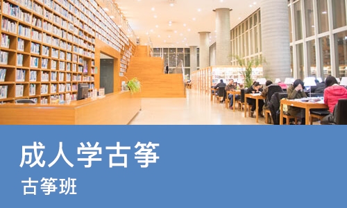 郑州成人学古筝