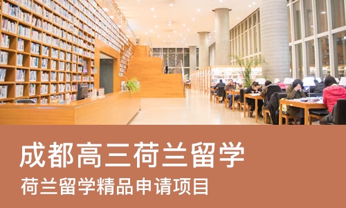 成都高三荷兰留学