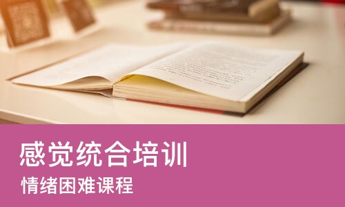 太原感觉统合培训