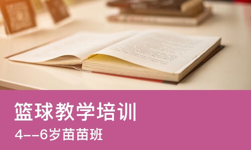 太原篮球教学培训