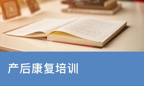 大连爱月宝·产后康复培训