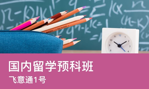 重庆国内留学预科班