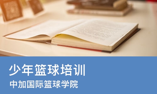 广州少年篮球培训班