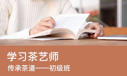 太原学习茶艺师