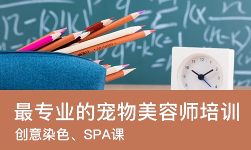 苏州*专业的宠物美容师培训机构